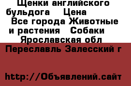 Щенки английского бульдога  › Цена ­ 60 000 - Все города Животные и растения » Собаки   . Ярославская обл.,Переславль-Залесский г.